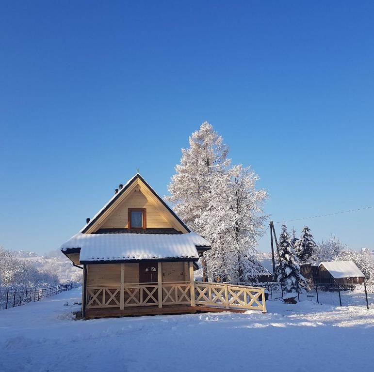 Лоджи Eko domki MaMastra Szaflary Шафляры